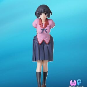 Tsubasa Hanekawa - PM Figure